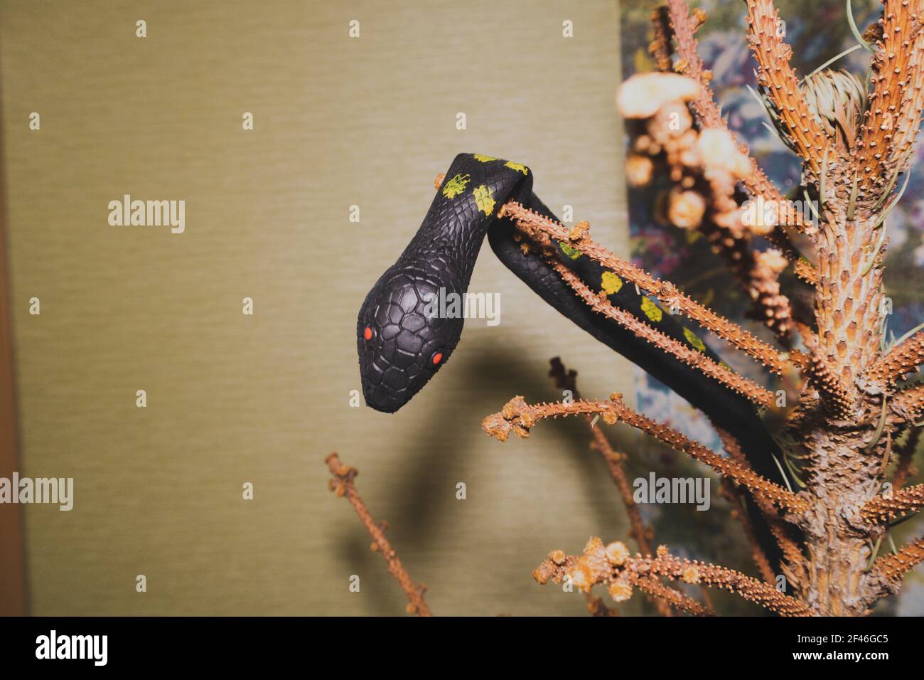 Gefälschte Schlange auf einem Baum Kinderspielzeug erschreckende Streich Gefahr Stockfoto