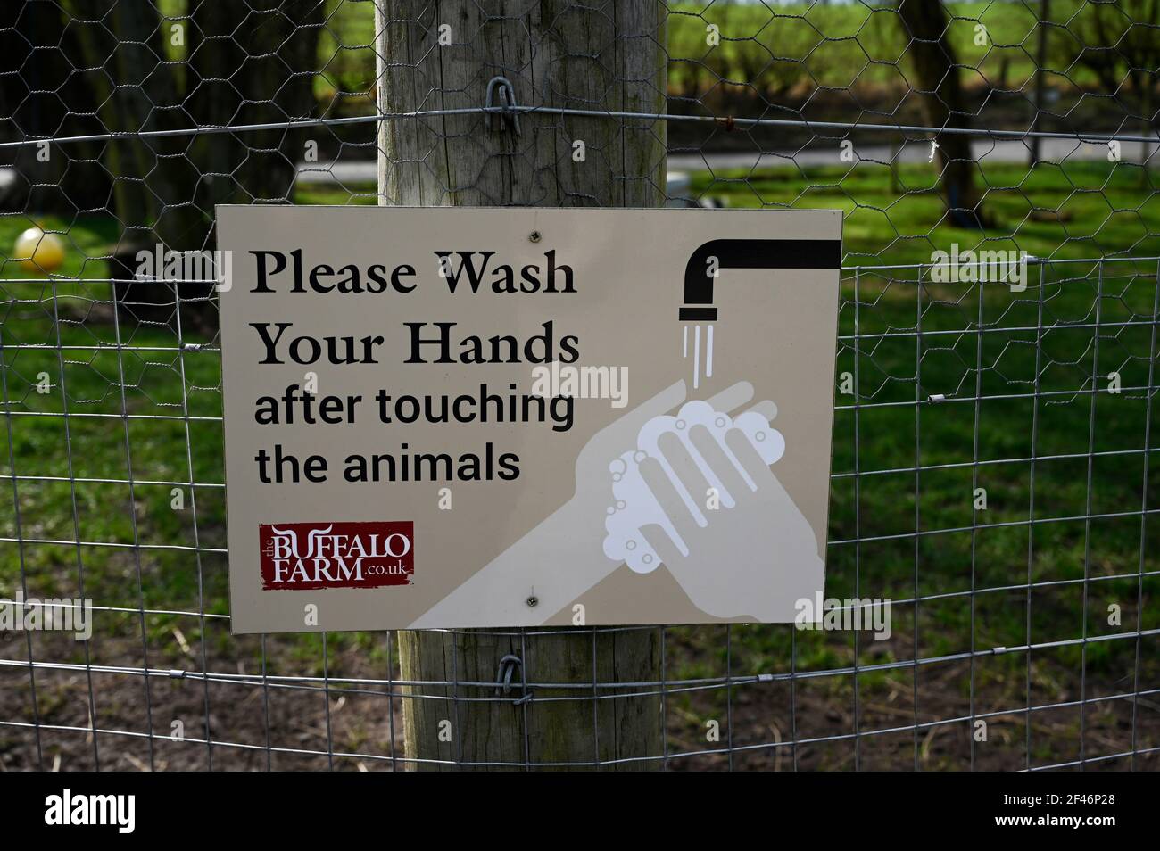 Zeichen mit Text - Bitte waschen Sie Ihre Hände nach dem Berühren der Tiere- mit Symbol von Wasserhahn und fließendem Wasser. Buffalo Farm Icon, Kirkcaldy, Schottland Stockfoto