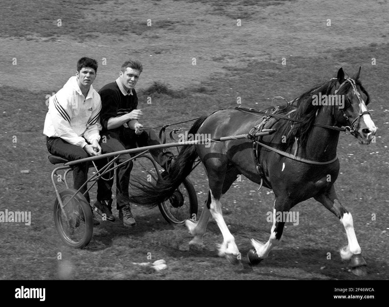 Zwei junge Männer, die 2001 in Bilston West Midlands, Großbritannien, auf ihrem Gypsy-Rennpferd und ihrem Karren reiten. Großbritannien sulky Racing Mann männlich romany Teenager Teenager Teenager Stockfoto