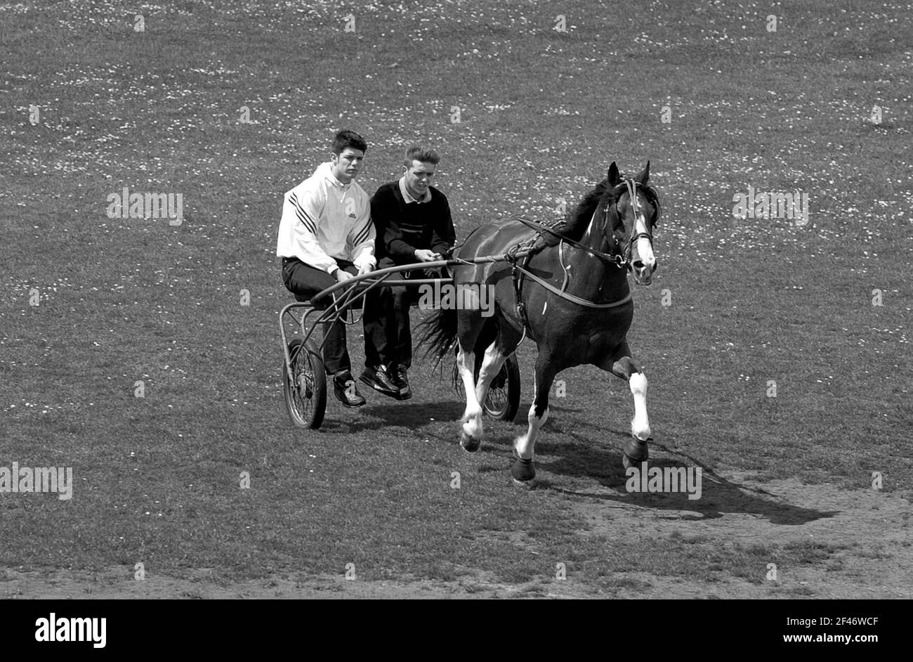 Zwei junge Männer, die im Jahr 2001 in Bilston West Midlands in Großbritannien auf ihrem Gypsy-Pferd und Karren-Racer oder Sulky reiten. Großbritannien sulky Racing Mann männlich romany Teenager Teenager Teenager Stockfoto