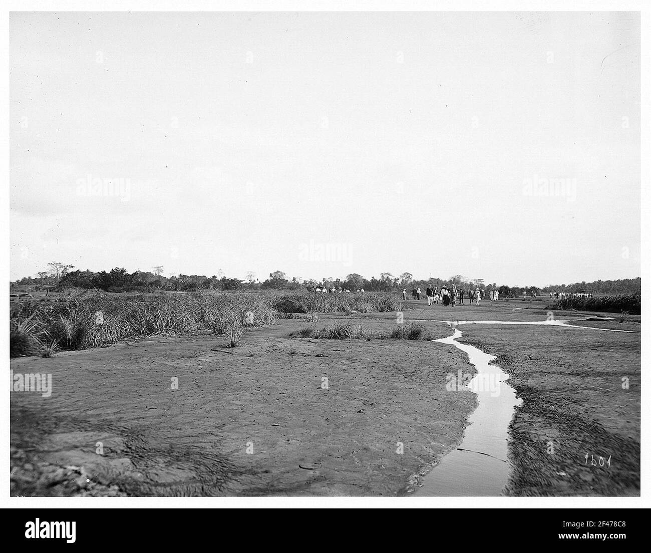 Touristen laufen auf dem Asphalt des Pitch Lake auf Trinidad Stockfoto