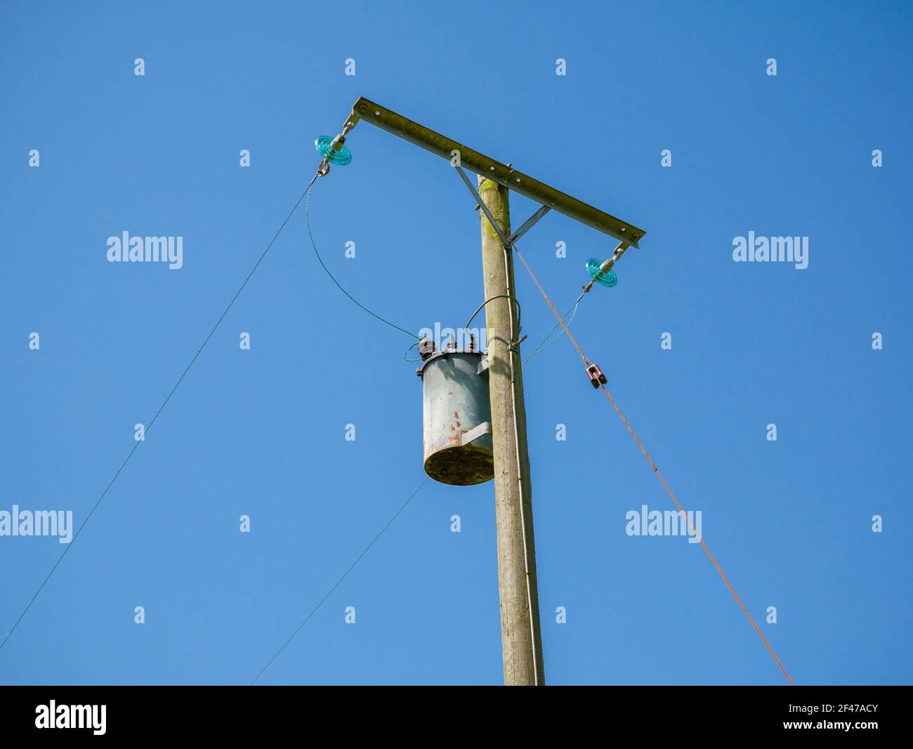 Ein am Mast montierter Abstufungstransformator am Ende eines Durchlaufs von 11kV 2-phasigen Deckenkabeln in einem ländlichen Raum in Somerset, England. Stockfoto