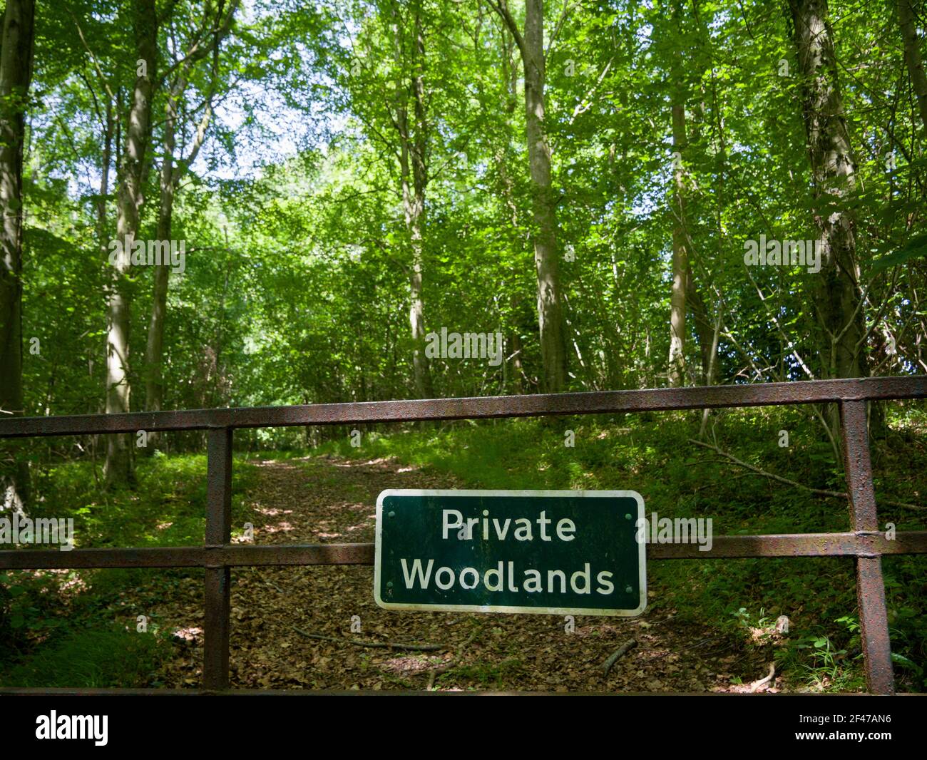Private Woodlands Zeichen auf einem Tor führt zu Wald in der Landschaft, Somerset, England. Stockfoto