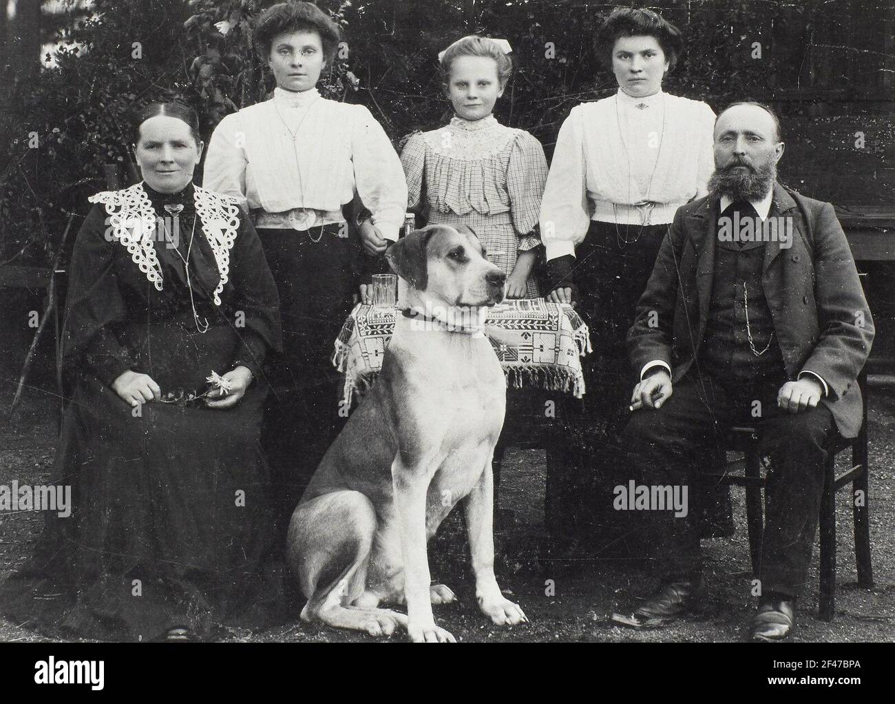 Krahnagel, Bruno. Stockfoto