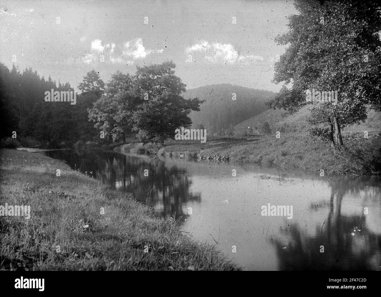 Pressnitzaue mit Bahnlinie Stockfoto