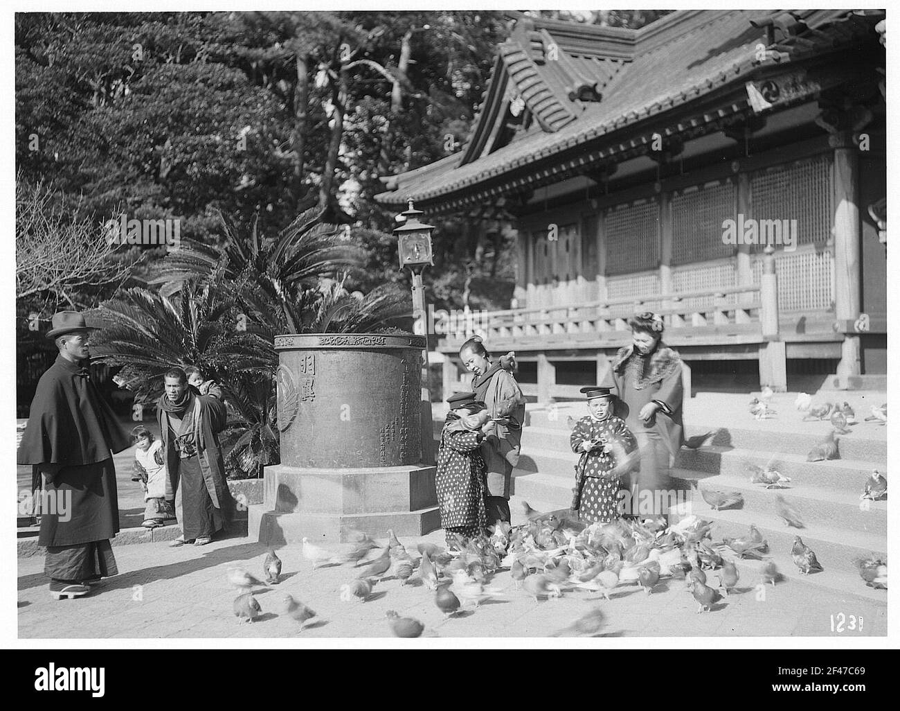 Einheimische bei der Taubenfütterung vor dem Hachimanzchein in Kamakura Stockfoto