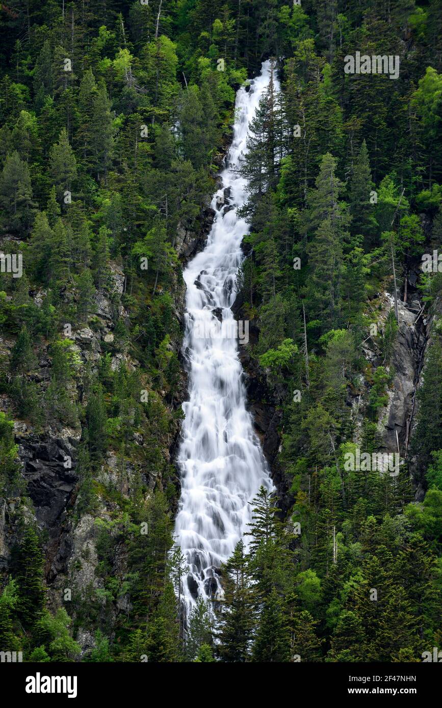 Comials-Wasserfall, in der Nähe des Gebirgspass Bonaigua (Pyrenäen, Nationalpark Aigüestortes und Estany de Sant Maurici, Katalonien, Spanien) Stockfoto