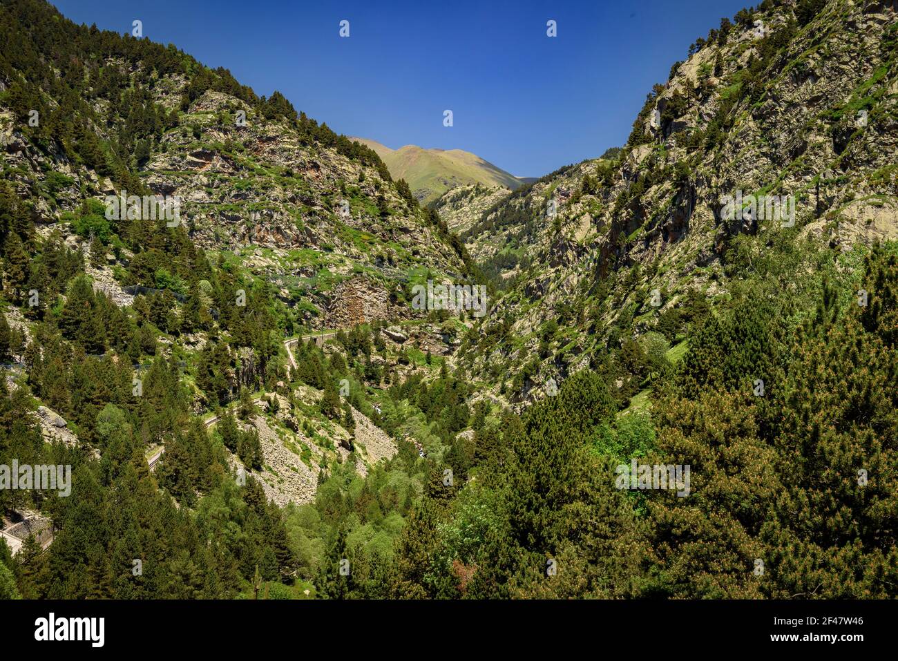 Núria-Tal im Sommer (Ripollès, Katalonien, Spanien, Pyrenäen) ESP: Valle de Núria en verano (Ripollès, Cataluña, España, Pirineos) Stockfoto