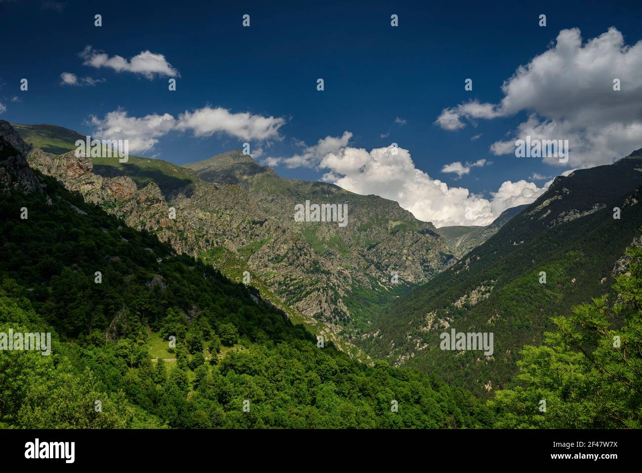 Núria-Tal im Sommer (Ripollès, Katalonien, Spanien, Pyrenäen) ESP: Valle de Núria en verano (Ripollès, Cataluña, España, Pirineos) Stockfoto