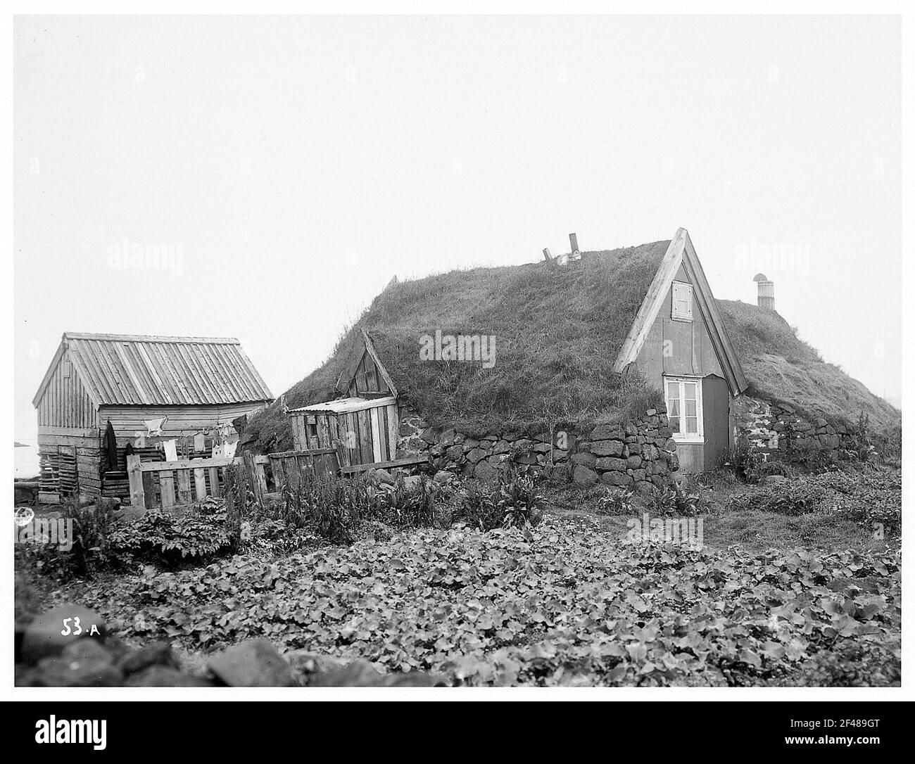 Torshavn / Färöer-Inseln (Dänemark). Beheizte Häuser überdachte Häuser Stockfoto