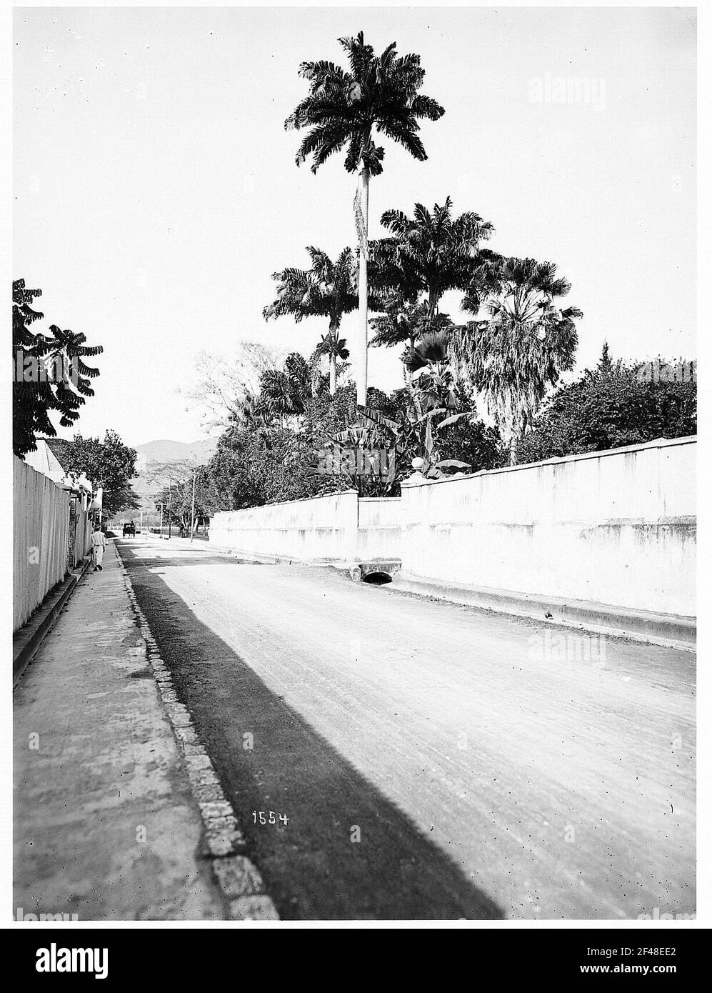 Hafen von Spanien (Trinidad und Tobago). Straße mit Palmen Stockfoto