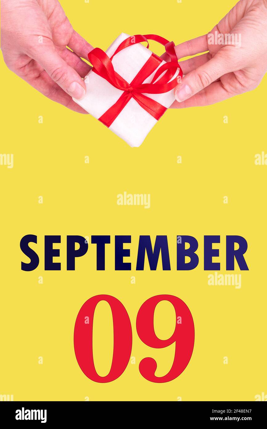 September 9th. Festlicher Vertikaler Kalender Mit Händen Halten Weiße Geschenkschachtel Mit Rotem Band Und Kalender Datum 9 September Auf Illuminating Yellow Backgr Stockfoto