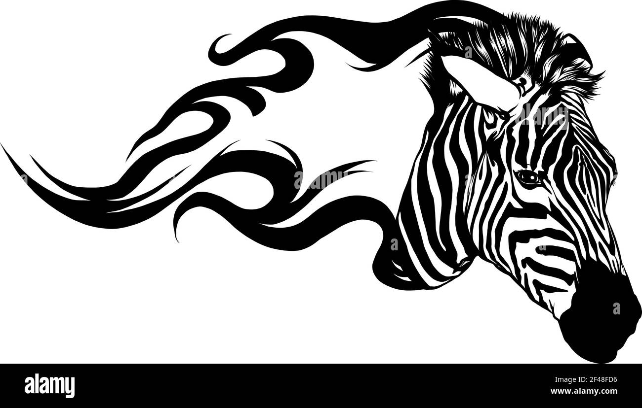 Zeichnen Sie in schwarz und weiß Zebrakopf mit Flammen Vektorgrafik Design Stock Vektor