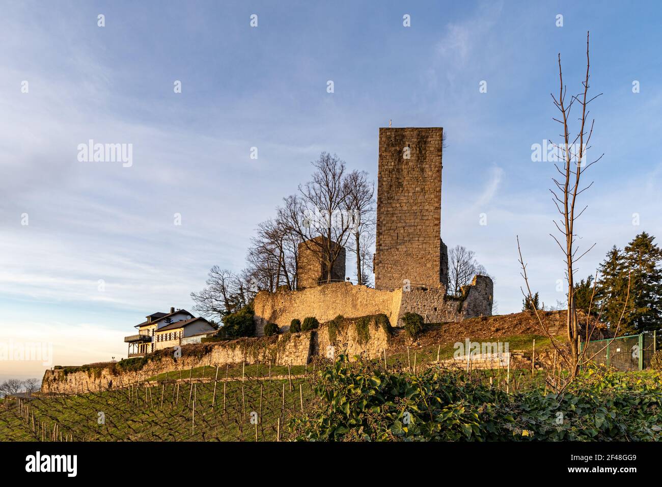 Nahaufnahme der Burgruine Windeck im Schwarzwald Stockfoto