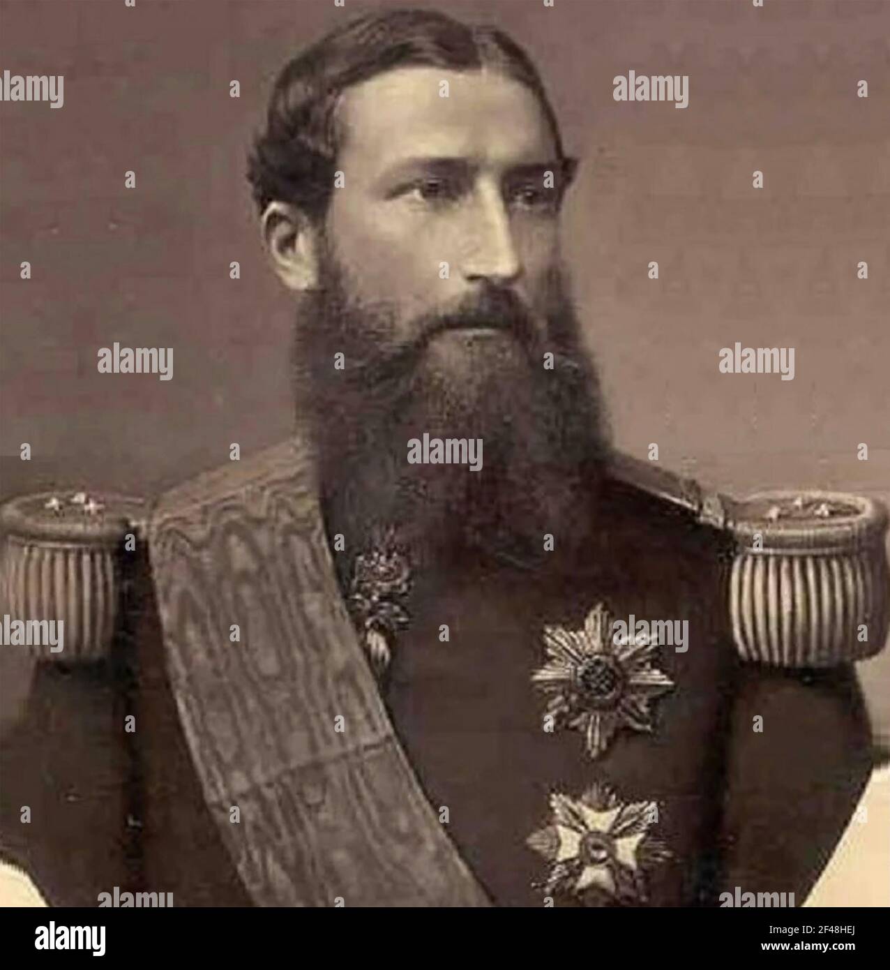 LEOPOLD II. VON BELGIEN (1835-1909) UM 1884 Stockfoto