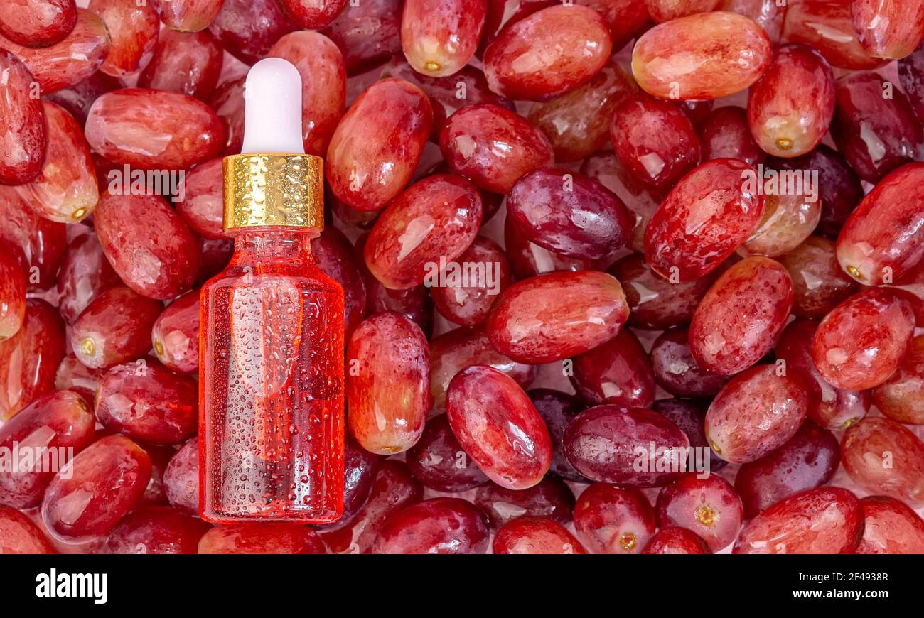 Traubenkernöl in einer Flasche, liegt auf den Beeren der roten, frischen, saftigen Trauben. Stockfoto