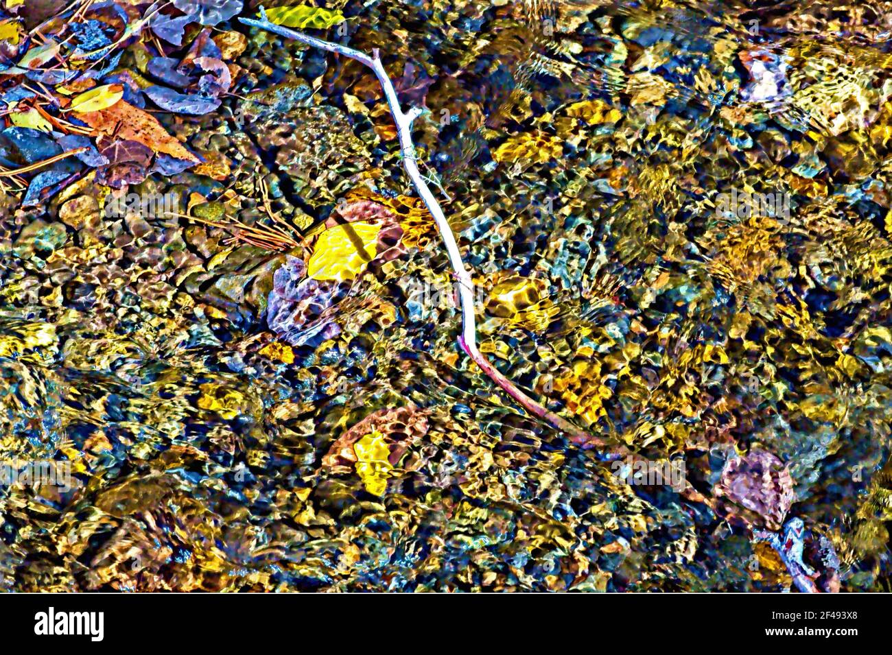 Painted Stream Bed - Dies ist ein Bachbett Foto Gemälde von einem Teil des Luther Creek, entlang der Fay Luther Trail. Stockfoto