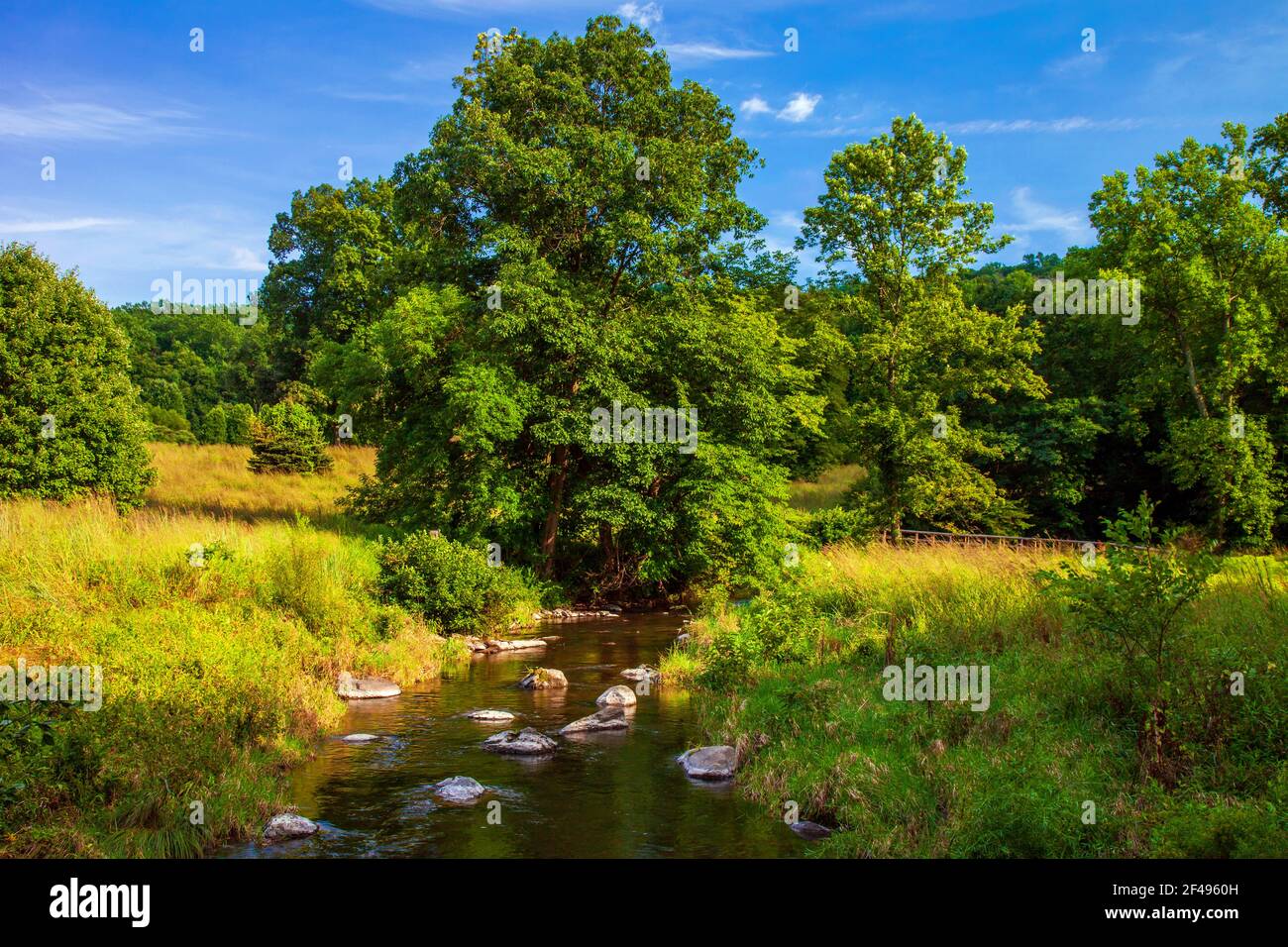 Cherry Creek fließt durch eine wilde Wiese mit einheimischen Wildblumen Und Gräser auf einem ehemaligen Golfcouse in Cherry Valley National Wildlife Refuge in Pennsyl Stockfoto