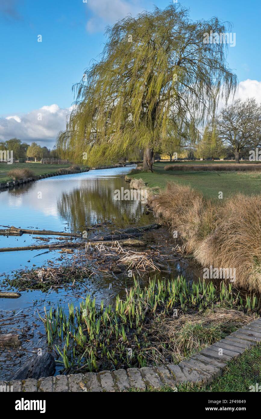 Still Waters im Bushy Park, wenn Sie auf öffentlichen oder privaten Eigentum Ich bin bereit, die volle Verantwortung für alle zu übernehmen Urheberrecht oder Wegrechte auf all meinem i Stockfoto