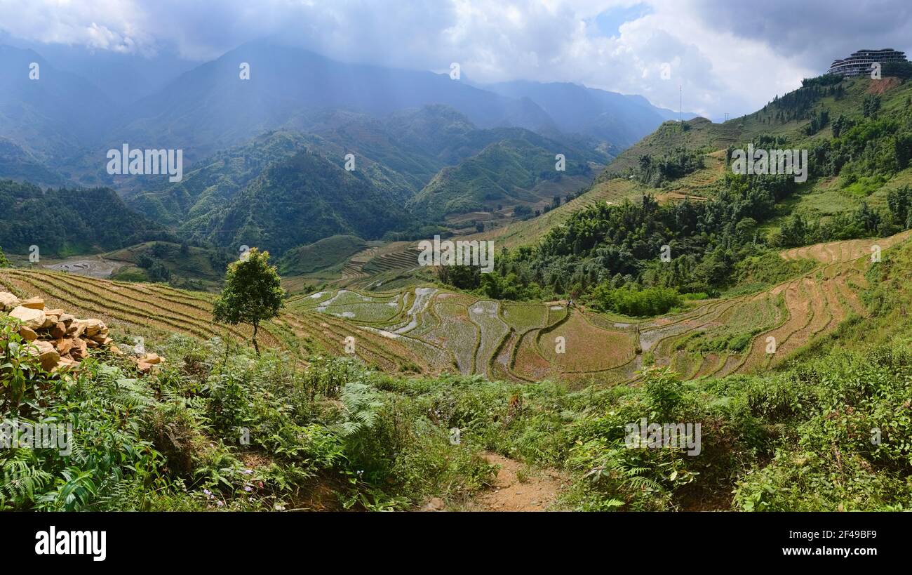 Weite Panoramasicht auf Reisterrassen in den Bergen bei Sa Pa. Wolken über Bergkette. Vietnam. Stockfoto