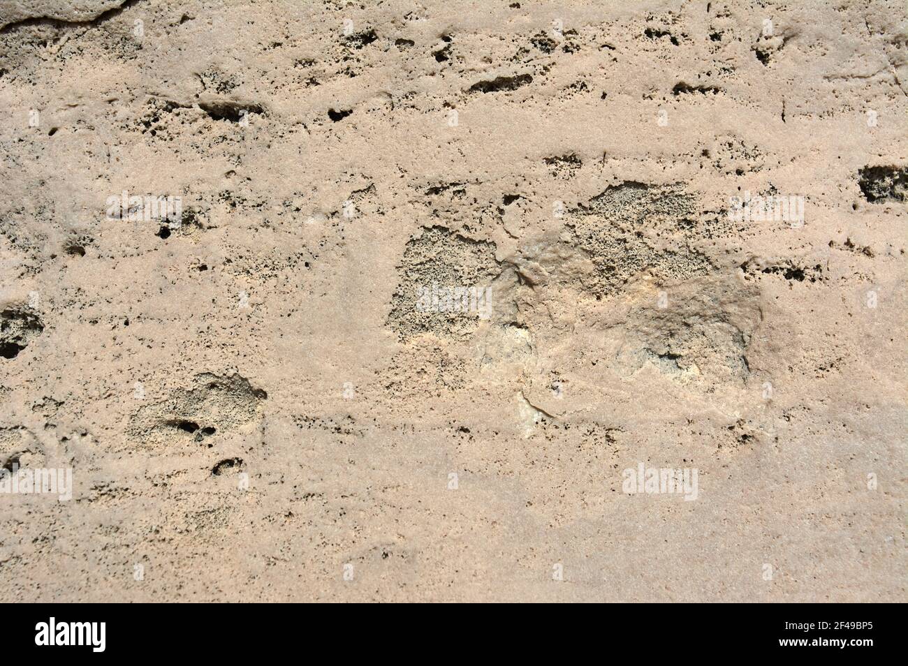 Eine Nahaufnahme einer strukturierten rauen Steinoberfläche Stockfoto