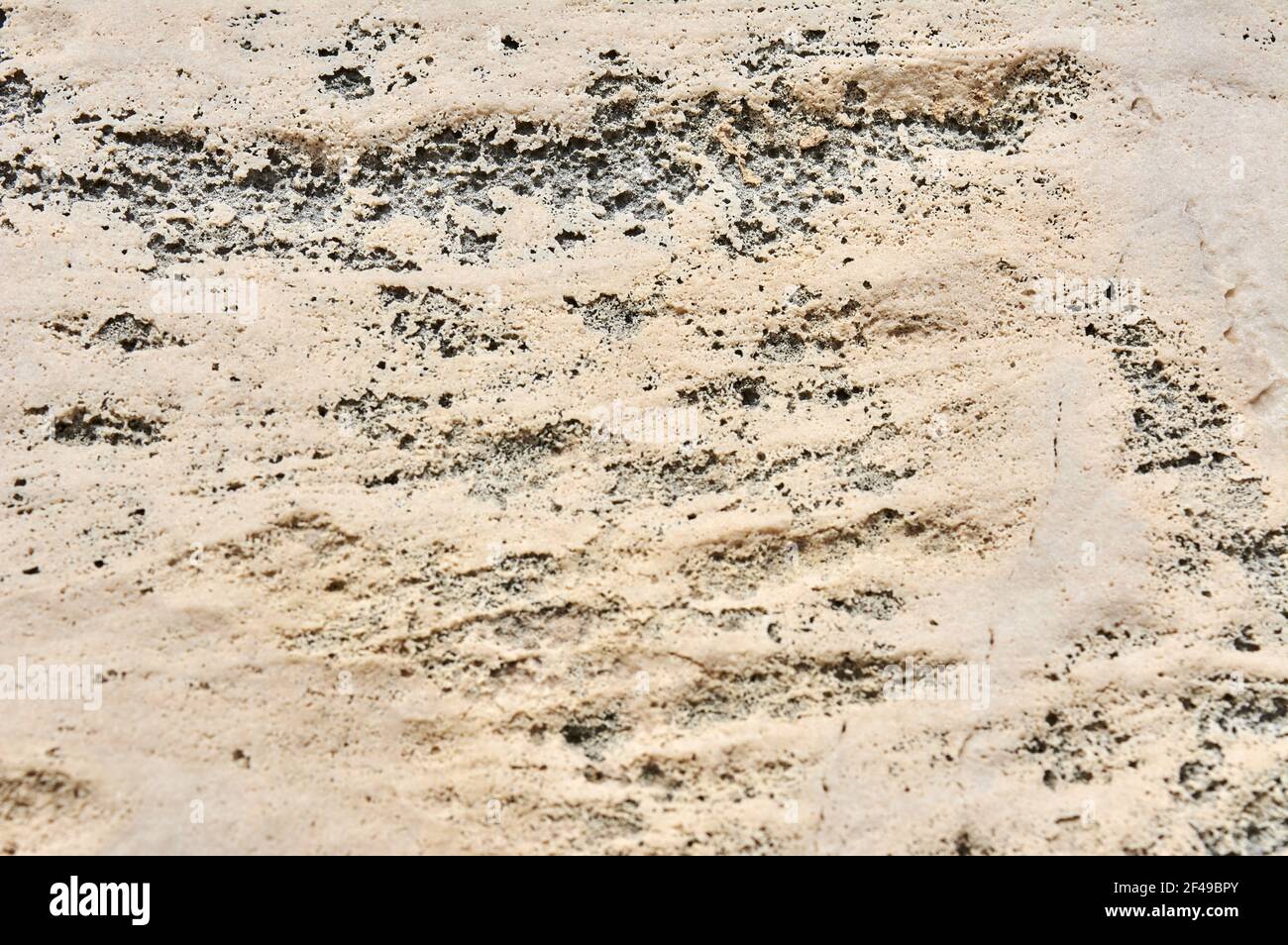 Eine Nahaufnahme einer strukturierten rauen Steinoberfläche Stockfoto