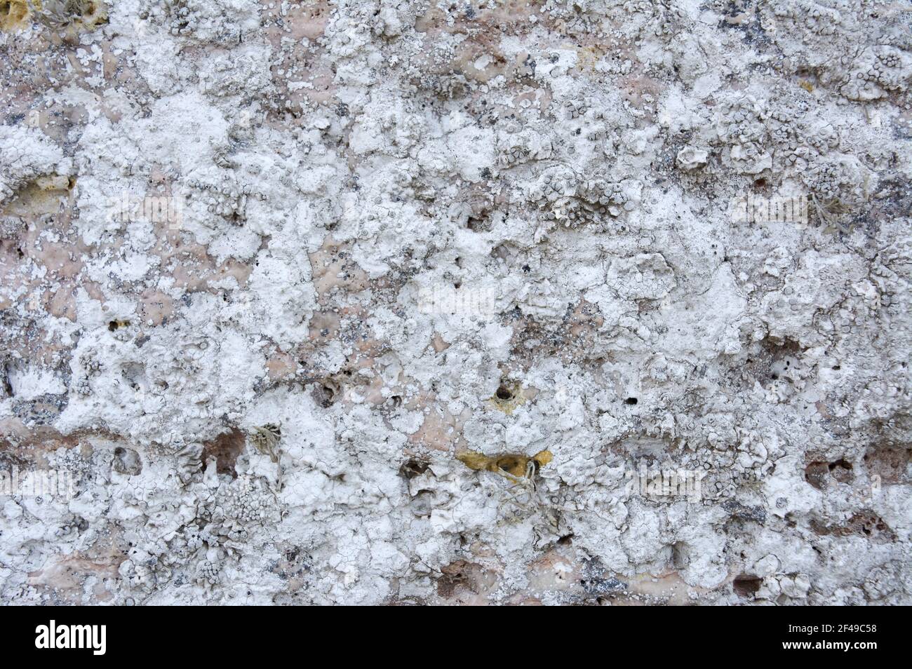 Eine Nahaufnahme einer strukturierten rauen Steinoberfläche Stockfoto