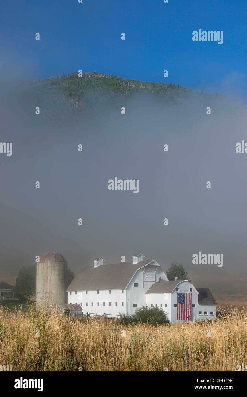 Nebliger Morgen auf der historischen McPolin Farm alias Osguthorpe Farm in Park City, Utah, USA Stockfoto