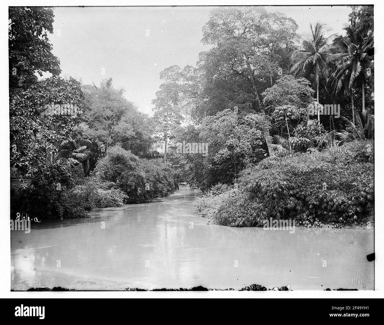 Alt-Batavia, Java / Indonesien: Kanal mit üppiger exotischer Gemüsewelt am Ufer Stockfoto