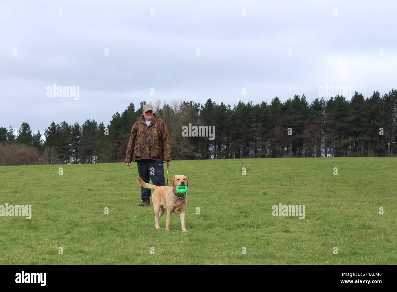 Mann mit einem gelben Labrador mit einem grünen Spielzeug im Mund, ein Mann und sein Hundekonzept Stockfoto