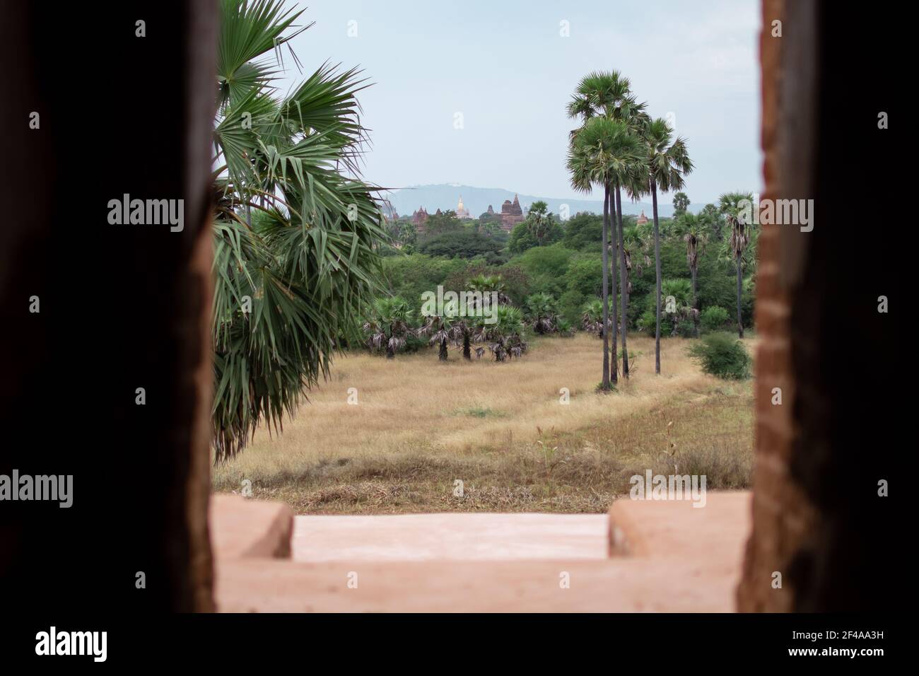 BAGAN, NYAUNG-U, MYANMAR - 2. JANUAR 2020: Blick von innen auf eine Pagode über einige historische Tempel, ein Feld und einen Wald Stockfoto
