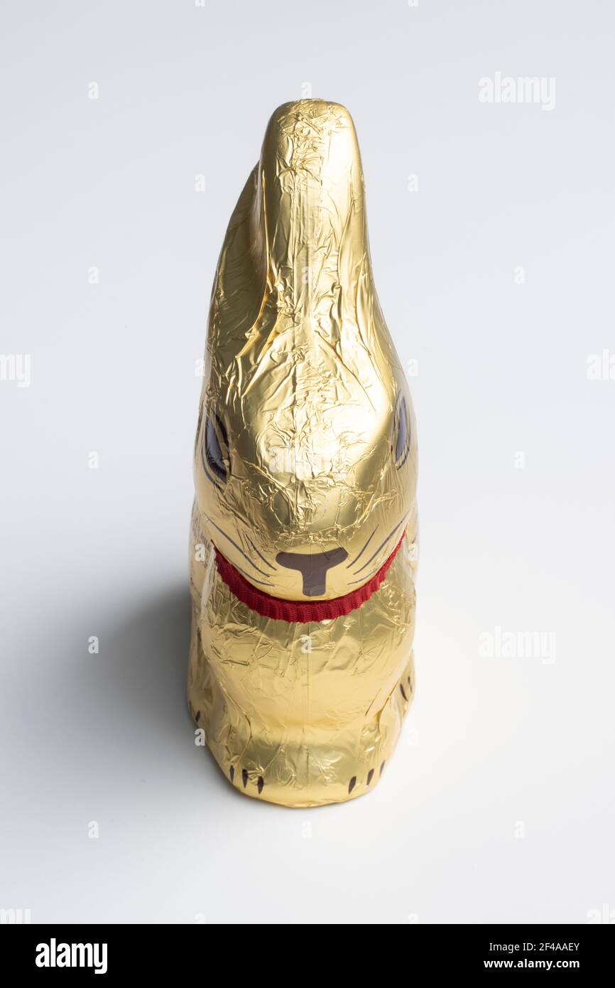 Schokoladen-Osterhase in goldene Folie auf weißem Hintergrund isoliert gewickelt. Stockfoto