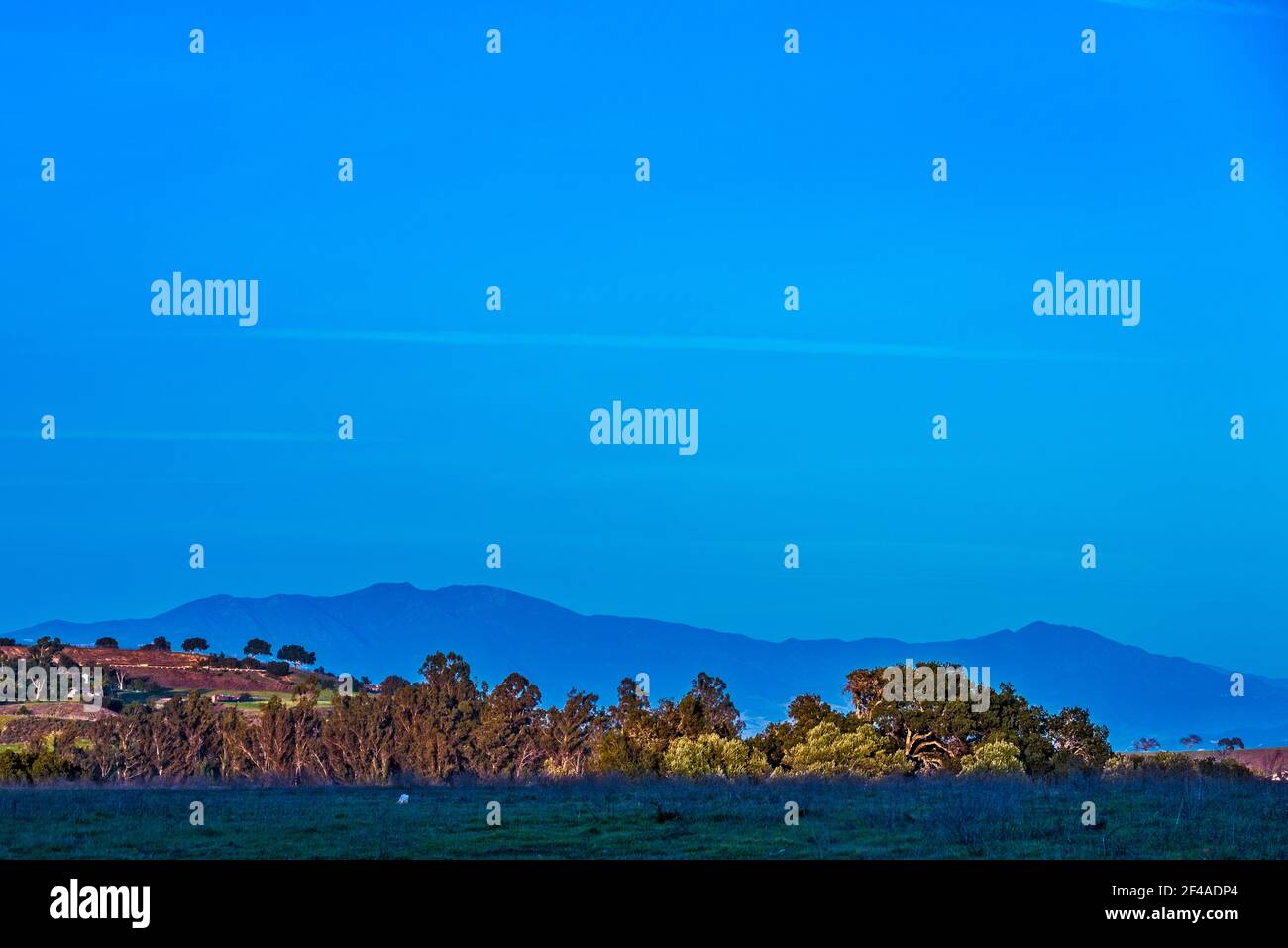 Felder im Schatten, Sonne lite Wald mit blauen Bergen hinter unter kühlen blauen Himmel. Stockfoto