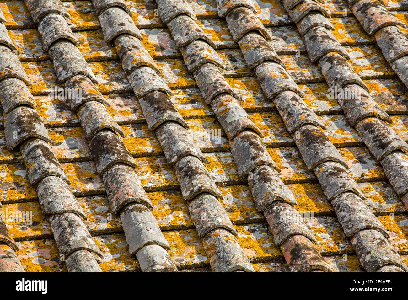 Cortona, Italien. Blick auf ein Ziegeldach von oben, das mit Flechten bedeckt ist. Dachziegel sind hauptsächlich entworfen, um Regen abzuhalten, und sind traditionell verrückt Stockfoto