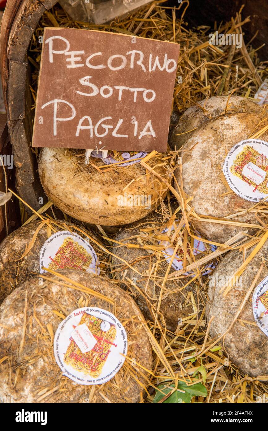 Cortona, Italien. Pecorino Sotto Vinaccia Käserunden unter Stroh gereift. Stockfoto