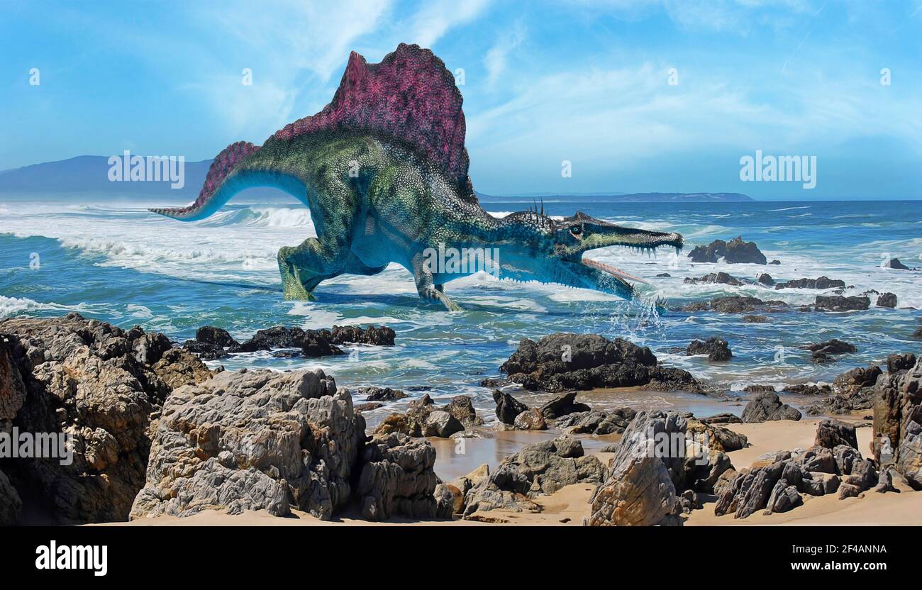 Moderne Rekonstruktion des Spinosaurus Stockfoto