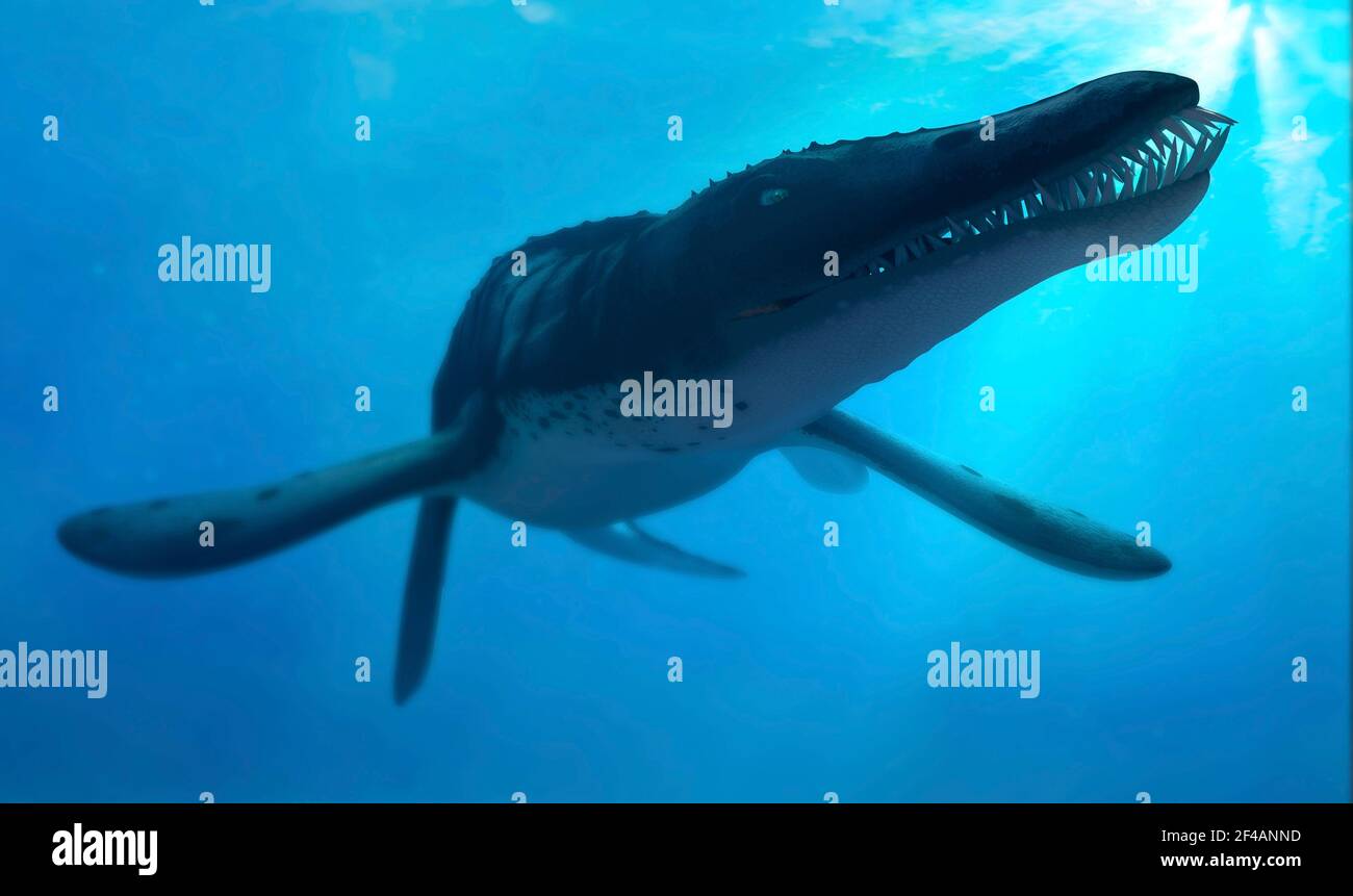Kunstwerk von marinen Reptilien liopleurodon Stockfoto