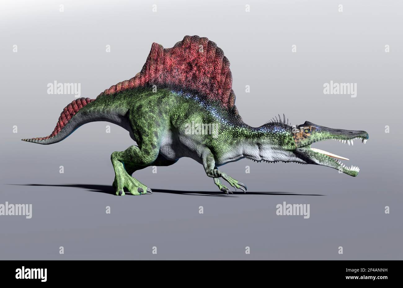 Kunstwerk von spinosaurus aegyptiacus Stockfoto