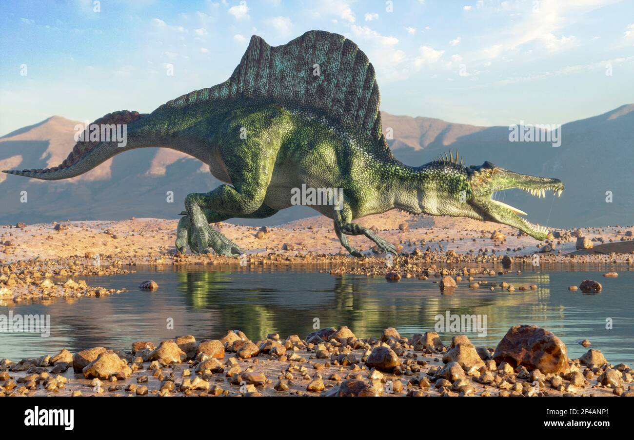 Moderne Rekonstruktion des Spinosaurus Stockfoto