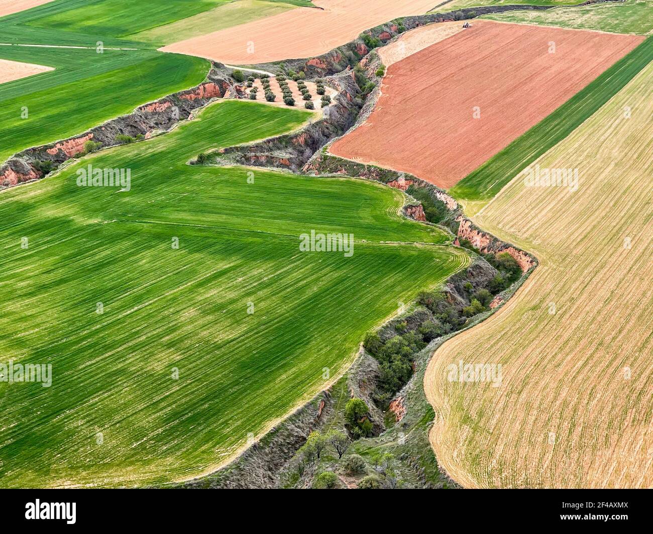 Luftaufnahme von kürzlich gepflanzten Getreidepflanzen, getrennt durch Furchen durch Bodenerosion, horizontal erstellt Stockfoto