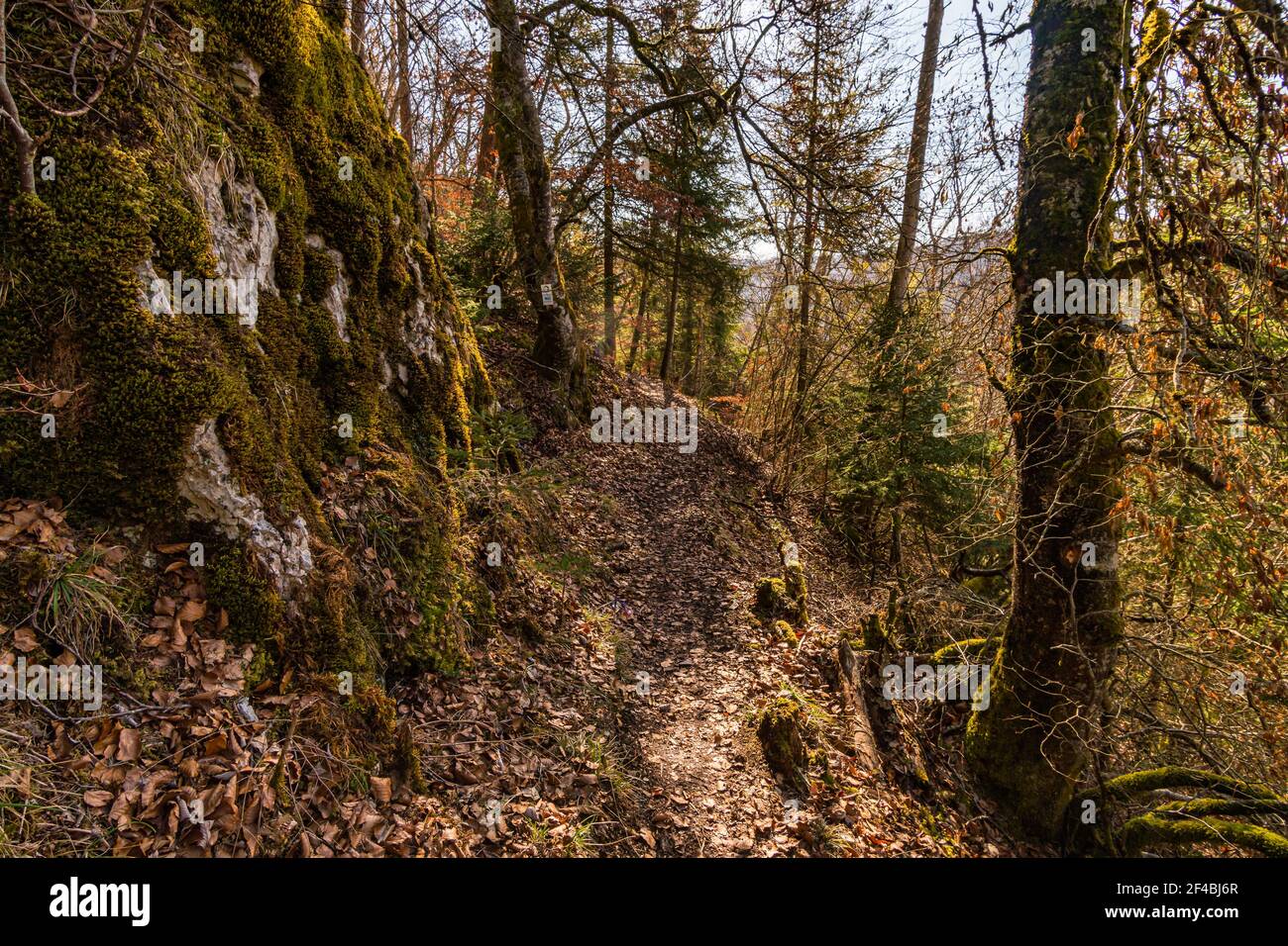 Frühlingswanderung im Donautal bei Sigmaringen Gutenstein Stockfoto