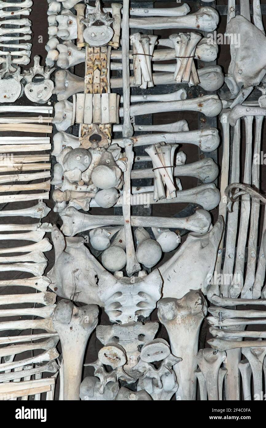 Kutna Hora, Tschechische Republik, 19. Februar 2014: Detail einer Dekoration aus menschlichen Knochen im Beinhaus in Sedlec in Kutna Hora Stockfoto