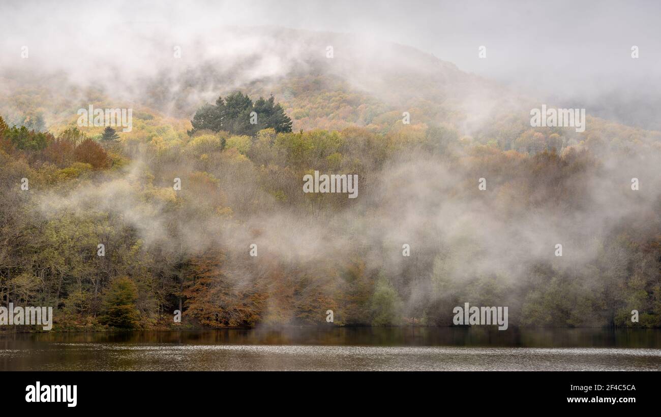 Wald um den Stausee Santa Fe de Montseny im Herbst (Provinz Barcelona, Katalonien, Spanien) ESP: Bosque de los alrededores del embalse, Montseny Stockfoto