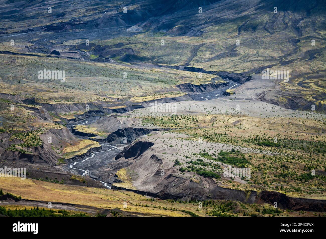 Landschaftlich reizvolle Aussicht auf die Poststörungslandschaft am Mount Saint Helen's National Monument und die dicke Ascheschicht. Stockfoto