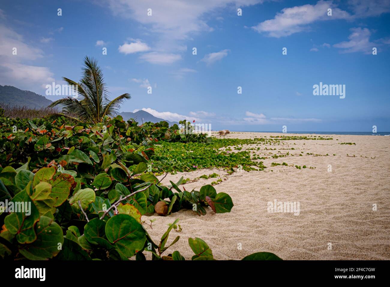 Die unberührten Strände und Dschungel des Tayrona National Natural Park (Parque Nacional Natural Tayrona) Sind das Kronjuwel der kolumbianischen Caribben Parks sy Stockfoto