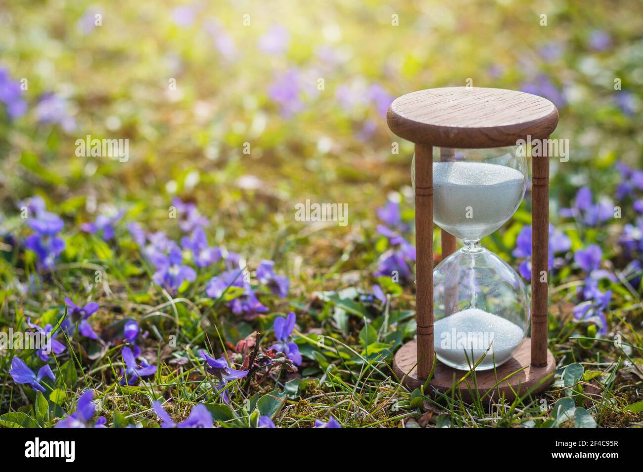 Der Frühling ist da. Sanduhr in Blumen als Symbol des Frühlings. Saison ändern. Sanduhr in Sommerzeit Stockfoto