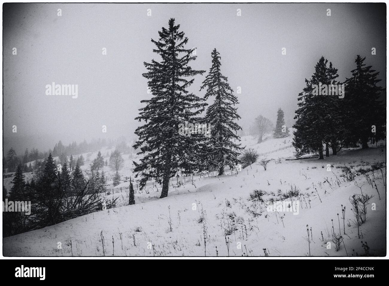 Winterlandschaft in den Bergen Stockfoto