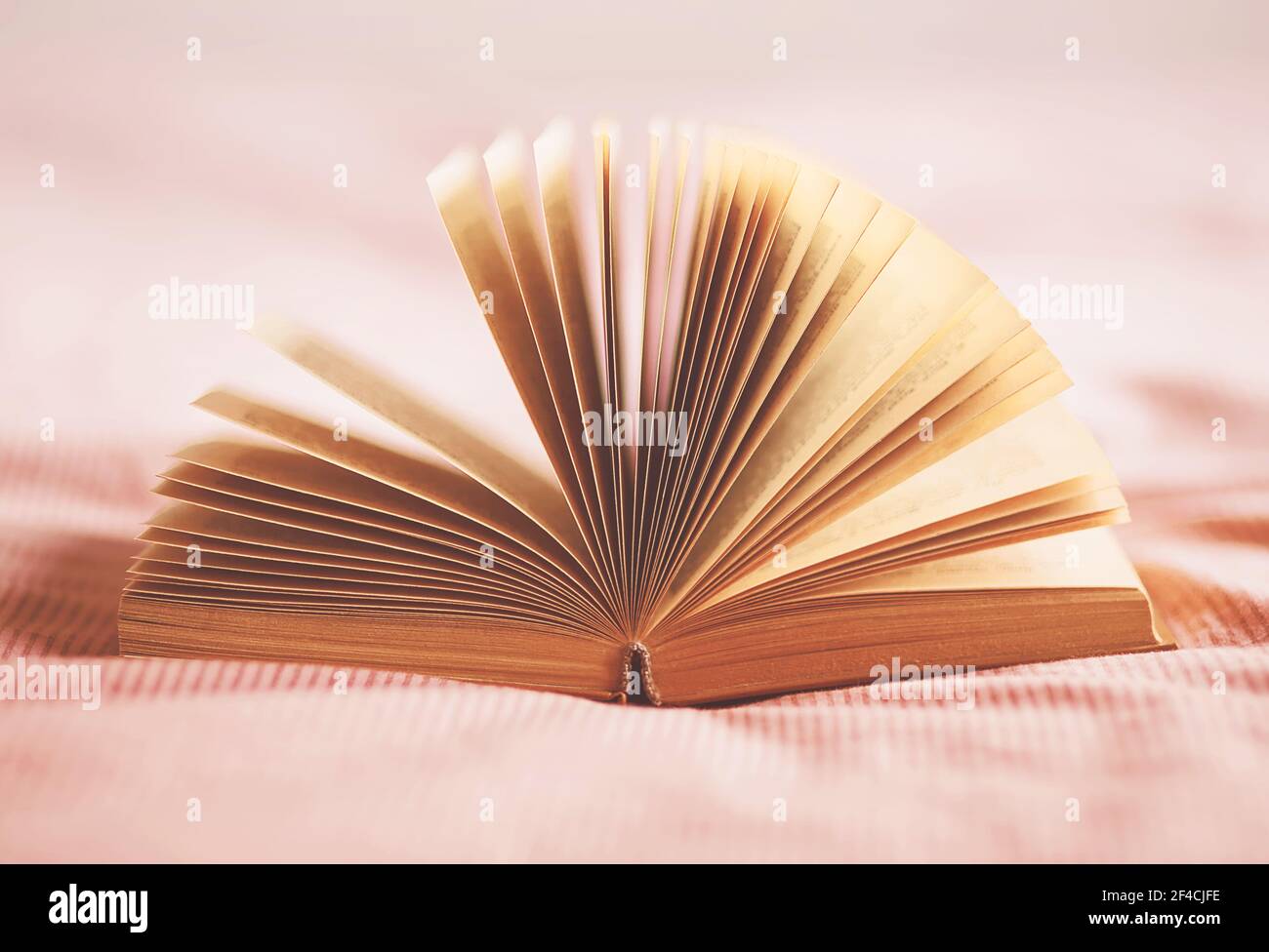 Ein Interessantes altes Buch mit vergilbten Seiten liegt auf dem Bett mit einer rosa gestreiften Decke auf. Zeitvertreib und Selbstentwicklung. Stockfoto