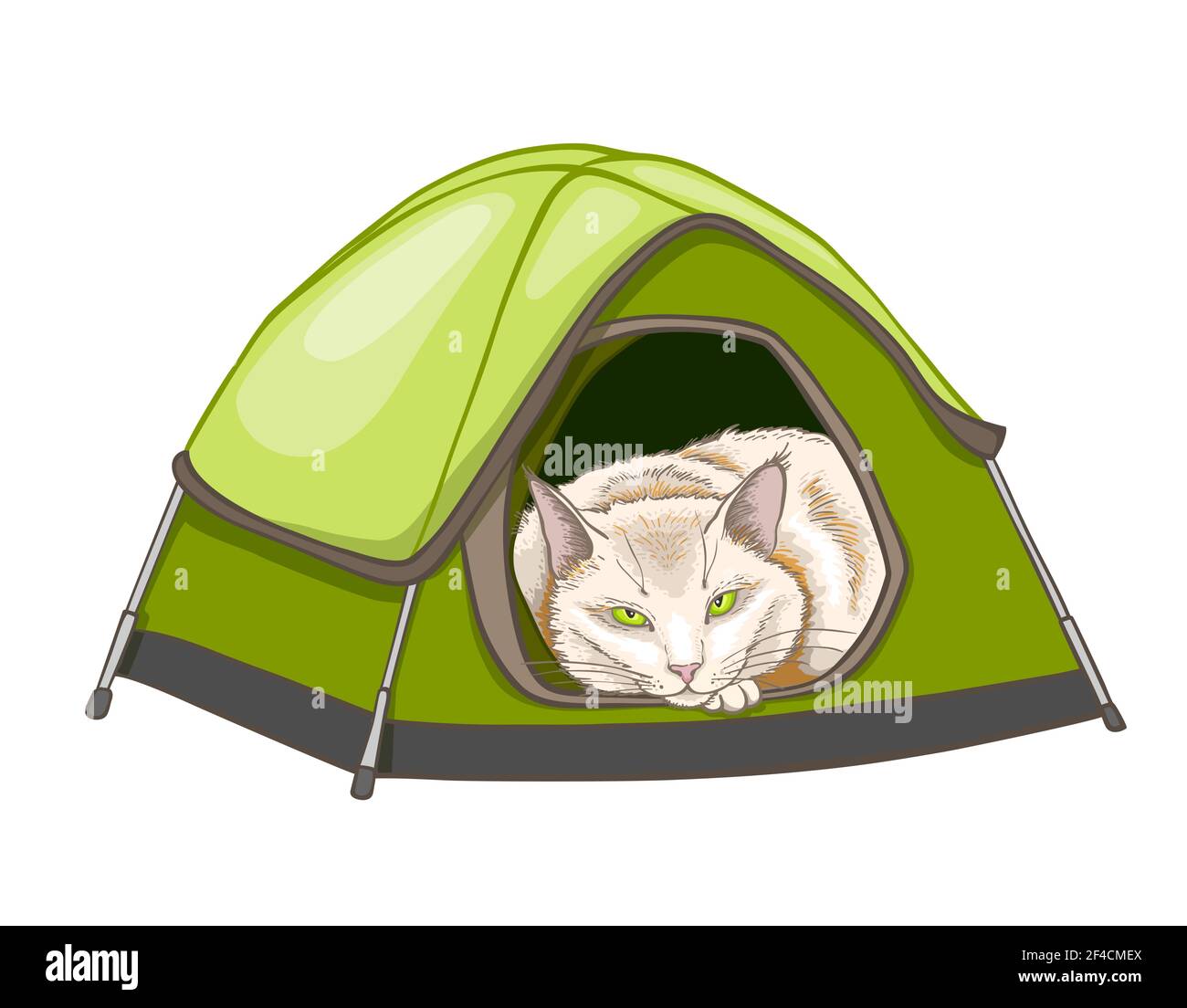 Weiße Hausschlafkatze im grünen Zelt. Handgezeichnete Vektorgrafik Stock Vektor