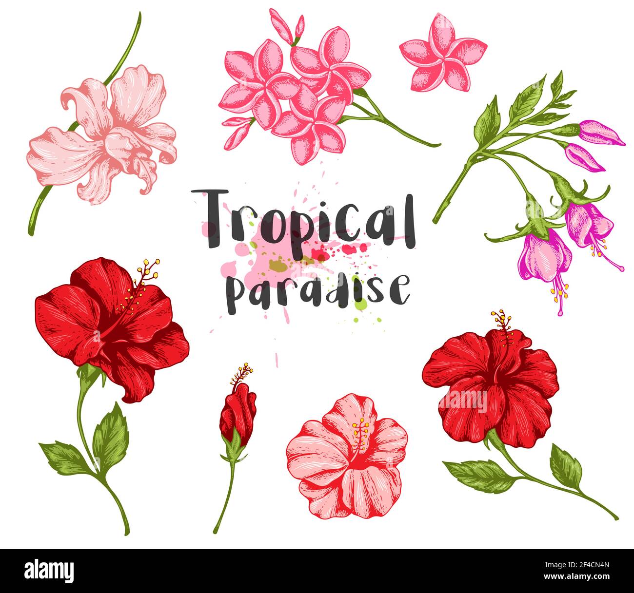 Set von Vintage tropischen Blumen. Handgezeichnete Vektorgrafik. Stock Vektor